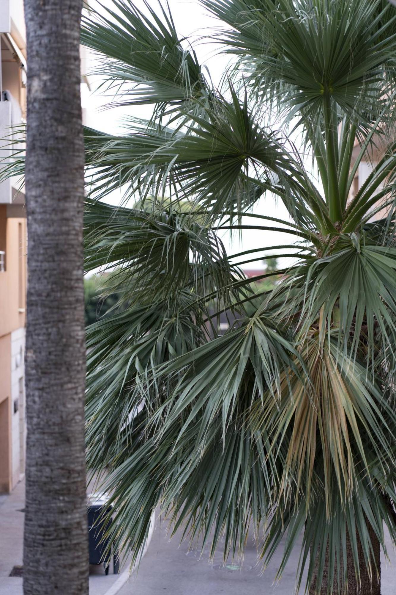 La Petit Maisonette De Manu Cannes Buitenkant foto